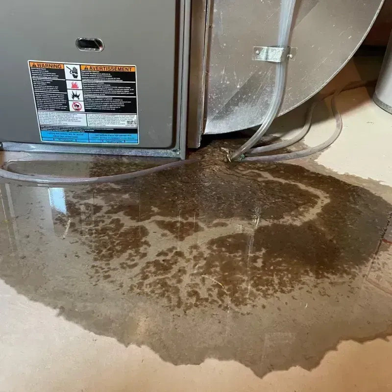 Appliance Leak Cleanup in Hitchcock, TX